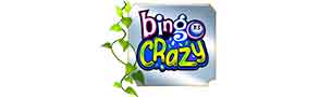 Bingo Crazy