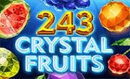 243 crystal fruits