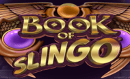 bookofslingo