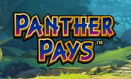 pantherpays