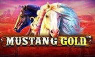 mustang gold